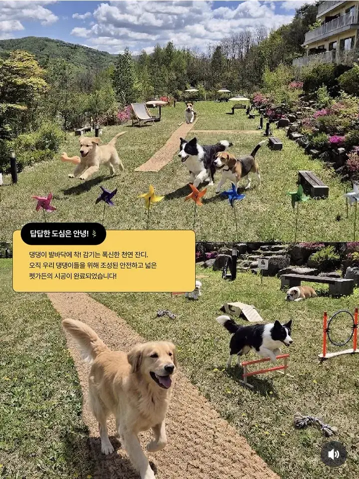 펫 가든